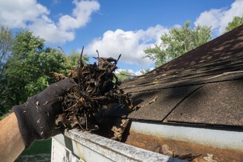 Gutter Cleaning